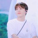 헤이버디