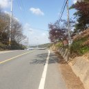 세도화수보건진료소 | 원진지맥 2구간(終) 안장고개~금강둑, 2020/04/21(화)