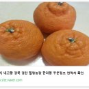 경산농장 이미지