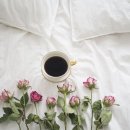 바리스타자격증 이미지