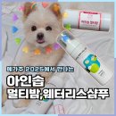 올리브 펫 | 메가주 2025 아인솝 펫멀티밤 워터리스샴푸 사용 후기