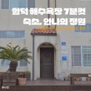 바다민박 | [제주/함덕] 안나의정원 102호 | 함덕 바다 도보 7분 복층 민박 솔직 후기