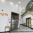 서산 | [여행] 충남 서산 가볼만한 곳 놀 거리 추천 서산 버드랜드 후기