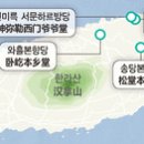 올레 티스토리