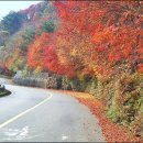 지리산화개골