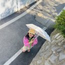 20260531횡성 호수 ,풍수원성당 [긴붕어님리딩] 이미지