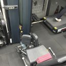 노익스짐 이미지