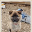 밀양농장 이미지