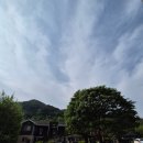 나무이야기 펜션 리솜포레스트 이미지