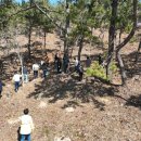 이레행정사 이미지