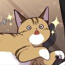 F19 네이버블로그