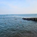 입파민박 이미지