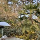 고성, 숙 이미지