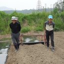 금주김장마을 이미지