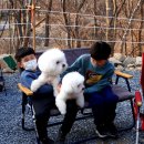경상도 캠핑 세 번째 불멍 하는 캠퍼들