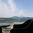 능이버섯 초계탕 이미지