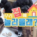 러브펫츠 이미지