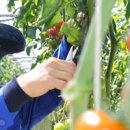 (주)일군 이미지