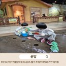 구립면일어린이집 | 경기도어린이박물관 3시간 리얼 후기｜무료입장 + 주차 할인 꿀팁