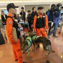 119구조대 이미지