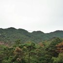 지리산 성(형)제봉 (단체) 이미지