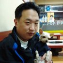 헤르시나 이미지