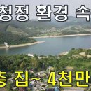 청정환경 이미지