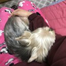 젊어서 노세노세