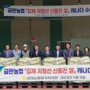 금만농업협동조합 미곡처리장 이미지