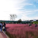 낙동강변11 이미지