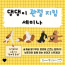 디스크독연구소 | 광주애견유치원에서 알려주는 &#39;댕댕이 관절관리 비법&#39; (세미나 후기)