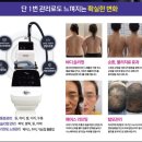 아델라인라이프 이미지