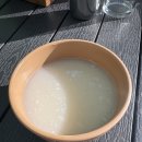 계곡속의바위집 | [대구 가창/맛집] 야외식당 계곡근처 미나리삼겹살 “숲속의집” 솔직후기 (애견동반 가능)