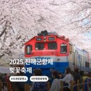 창원중앙역 광장 | 강추! 진해 군항제 봄 나들이 데이트 코스, 무조건 성공하는 루트