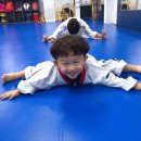 황금발 태권도장 이미지