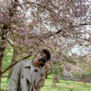 박신혜 카카오 검색결과