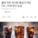 콜라 자주 마시면 男성기 커진다?...이색 연구 눈길 이미지