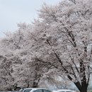 능북초등학교 이미지