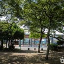 인라인스케이트장 좌측 지압코스 내부 - 2275 | [제주도 서귀포시] [제주올레 11코스] 모슬포-무릉 올레