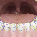 상아치과 이미지