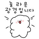 유댕두잇(YOU DAENG DO EAT) 이미지