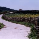 도락민박 이미지