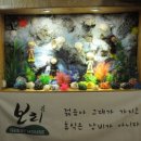 제주숲게스트하우스