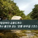 [하루만보]신사임당부터 김홍도까지… 역사 훑으며 걷는 '강릉 바우길 2코스' 이미지
