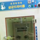 미자애견 이미지