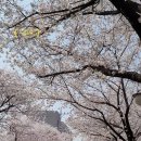 미노천연공방 이미지