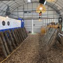 삼형제농장 이미지