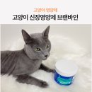 브랜바인 | 고양이 강아지신장영양제 브랜바인 유리나리 급여 후기