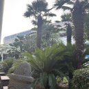 누울 | 제주 숙소 추천 / 단독 독채 펜션 '누울' NOOL 내돈내산 후기