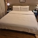 경남세탁 | [내돈내산] 경남 창원 야자 yaja | 마산 오동점 | 세탁 건조 스타일러